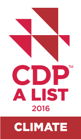 CDP Logo